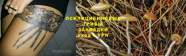 первитин Медвежьегорск