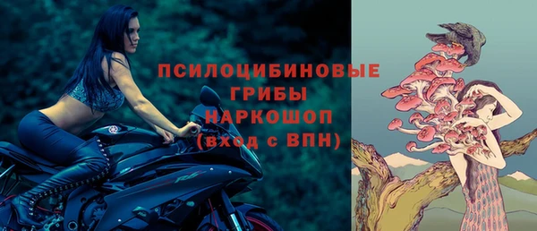 прущие крисы Магадан