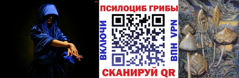Галлюциногенные грибы прущие грибы  Щёлково 